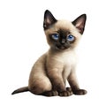 Watercolor Cutie Baby Cat Clipart, Cute Kitten Clipart, Siamese