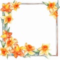 Watercolor Daffodil Frame On White Background
