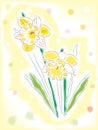 Watercolor daffodils