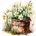 Watercolor Daffodils: A Delicate and Timeless Classic AI Generated