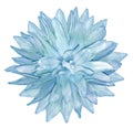 Watercolor dahlia flower blue. Flower isolated on a white background. No shadows with clipping path. Close-up. Royalty Free Stock Photo