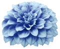 Watercolor dahlia flower blue. Flower isolated on a white background. No shadows with clipping path. Close-up Royalty Free Stock Photo