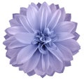 Watercolor dahlia flower light purple Flower isolated on white background. No shadows with clipping path. Close-up. Royalty Free Stock Photo