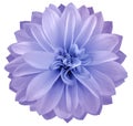 Watercolor dahlia flower light purple Flower isolated on white background. No shadows with clipping path. Close-up. Royalty Free Stock Photo