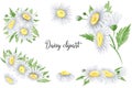 Watercolor daisies flowers clipart Flora arrangement for wedding invitations, birthday cards, cards and patterns