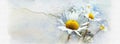 Watercolor vintage daisies background on old paper - Facebook cover Royalty Free Stock Photo