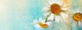 Watercolor vintage daisies background on old paper - Facebook cover Royalty Free Stock Photo