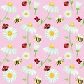 Watercolor daisy chamomile flower seamless pattern with fly ladybug, bee illustration. Hand drawn botanical herbs on Royalty Free Stock Photo