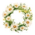 watercolor daisy wreath on white background