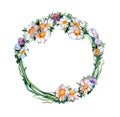 Watercolor daisy wreath on white