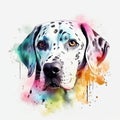 Watercolor Dalmatian portrait, painted illustration of a cute dog on a blank background, Colorful splashes puppy head