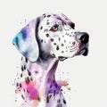 Watercolor Dalmatian portrait, painted illustration of a cute dog on a blank background, Colorful splashes puppy head