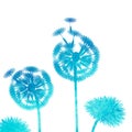 Watercolor dandelion background