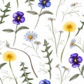 Watercolor dandelion, chamomile, pansies flower vintage seamless pattern