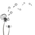 Watercolor dandelions. Abstract flower background