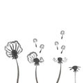 Watercolor dandelions. Abstract flower background Royalty Free Stock Photo