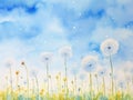 Watercolor dandelions on a background of blue sky with clouds Generative AI