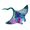 Watercolor danger sea animal stingray isolated