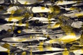 Watercolor dark yellow gray gold white texture paint watercolor spots