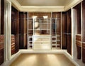 Watercolor of decor traditional walk in closet interior design