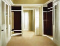 Watercolor of decor traditional walk in closet interior design