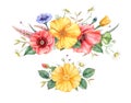 Watercolor decorations with wildflowers isolated on white background. Hand painted illustration.