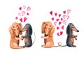 Watercolor decorative cute dachshunds in love