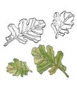 Watercolor decorative set green oak leaves with streaky