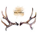 Watercolor Deer Antlers Royalty Free Stock Photo