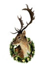 Watercolor deer with christmas wreath isolated on white background. Christmas wild animal illustration for design, print or Royalty Free Stock Photo