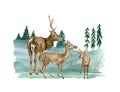 Watercolor deer family illustration. Hand painted realistic buck, doe and fawn deer sketch. Woodland landscape with Royalty Free Stock Photo