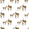 Watercolor deer family seamless pattern. Hand painted realistic buck, doe and fawn deer isolated on white background Royalty Free Stock Photo