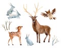 Watercolor deer with fawn, rabbits, birds isolated on white background.