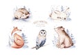 Watercolor winter forest animals deer with fawn, owl rabbits, bear birds on white background. Wild forest fox and squirrel animals