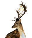 Watercolor deer with garland of lights on horns isolated on white background. Christmas wild animal illustration for