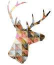 Watercolor deer graphic illustration.