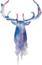 Watercolor deer head, vector Royalty Free Stock Photo