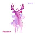 Watercolor deer head Vector on the white Royalty Free Stock Photo