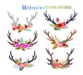 Watercolor deer horns Royalty Free Stock Photo