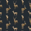 Watercolor deer seamless pattern. Hand painted realistic whitetail buck, doe and fawn deer on black background. Woodland Royalty Free Stock Photo