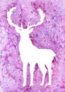 Watercolor deer white on purple background. Winter Reindeer and snows, snowflakes and white splashes