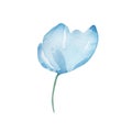 Watercolor delicate blue flower bud