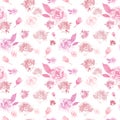 Watercolor delicate floral pattern with pink roses on white background. Beautiful botanical print