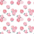 Watercolor delicate flowers on a white background petals rose pattern pink love Royalty Free Stock Photo