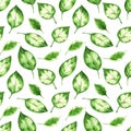 Watercolor delicate tropical leaves seamless pattern.