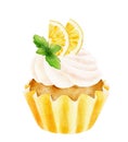 Watercolor delicious cupcake with lemon and mint isolated on white background