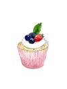 Watercolor delicious cupcake with strawberry and blackberry. Hand drawn food illustration, isolated on white background.