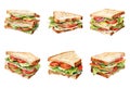 Watercolor Depiction of Delicious Sandwiches Perfect for Lunch