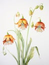 Watercolor Depiction of Fritillaria Meleagris on White Canvas AI Generated