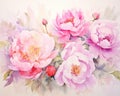 watercolor depiction of Romantic White and Pink peonies and roses.